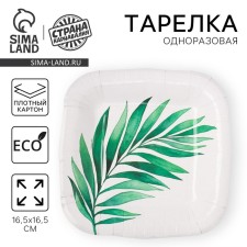 A plate disposable paper square 