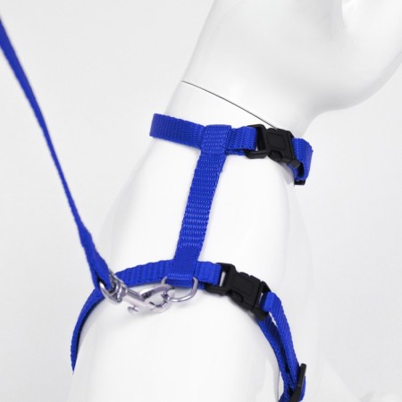 Kit for cats, width 1 cm, Osh 16.5-27 cm, fire 21-35 cm, leash 120 cm, blue-4
