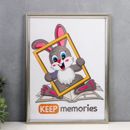 Photo frame plastic 30x40 cm silver (590)
