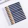 Ballpoint pen for graduation plastic with a cap “Best graduate” Blue pasta 0.5 mm