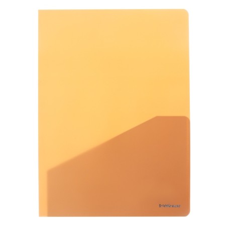 A4, 180 μm, Erichkrause "Soft Manga", 2 pockets, stamping "soft-tach", translucent, mix-5
