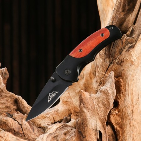 Folding "Predator" knife in a gift box-1