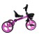 MaxisCoo Dolphin bike, purple color