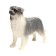 Toy - surprise "Pets. Dogs "