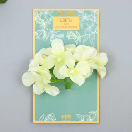 Flowers for decorating "hydrangea" white-green 10x10 cm