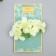 Flowers for decorating "hydrangea" white-green 10x10 cm