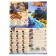 Brodiller game "Treasures of Flint", expanded edition