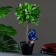 Irrigation for indoor and garden plants "Kit" Kungur ceramics, 0.2 l, 19 cm, blue