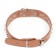 Collar "Sirius", leatherette with rivets, 56 x 3 cm, Osh 42-52, brown