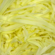 Filler with silence, lemon neon, 50 g