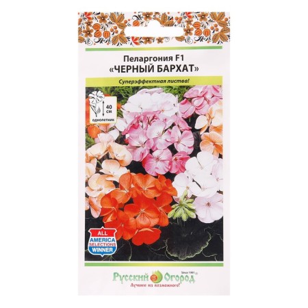 Flower seeds Pelargonium "Black velvet", mixture 5 pcs-4