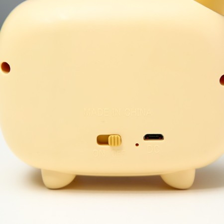 Bun 3W 3W USB AKB Mix 6x9.5x22.5 cm Risalux-11