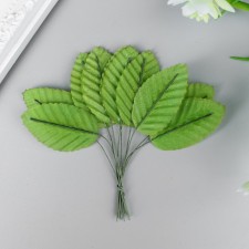 Decor for creativity 