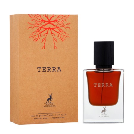 Perfumery water men Terra (based on Terroni Orto Parisi), 50 ml