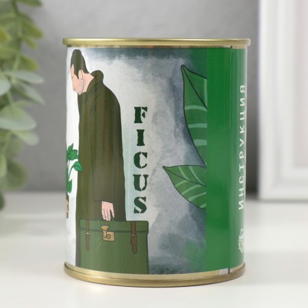 Growing grass "Ficus"-1