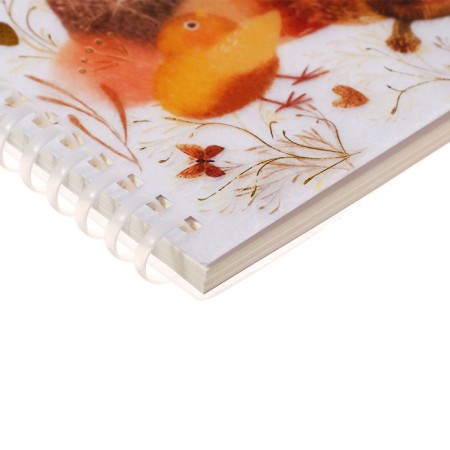 A notebook of 60 sheets in a cage on the crest "Love, as it is", plastic cover, tinted block 70g/m2-2