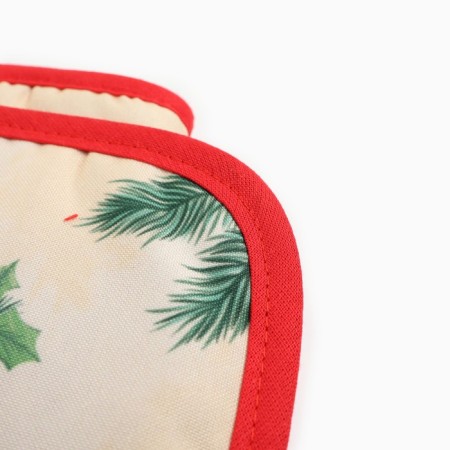 Set of kitchen shares Friendly Snake: Take 17x17 cm, mittens-loss 20x28 cm, 35% cotton, 65% p/e-3