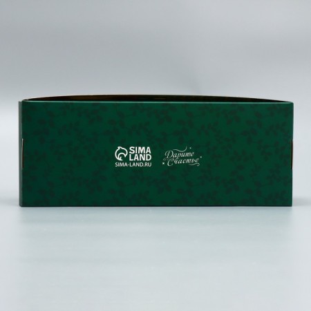 Confectionery packaging, a cupcake box with a window, a “expensive teacher”, 26 x 10 x 8 cm-5