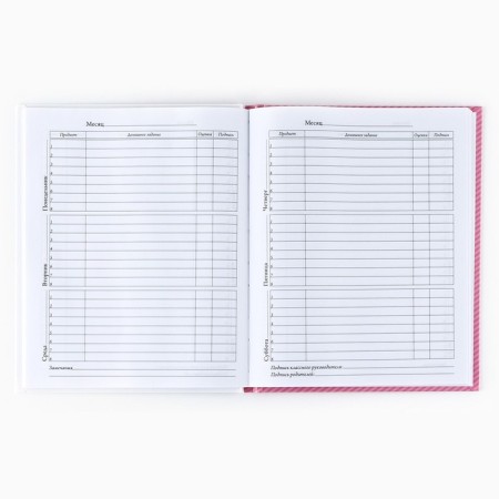 School diary for grade 1-11, in a solid cover, 40 l. "Cat"-3