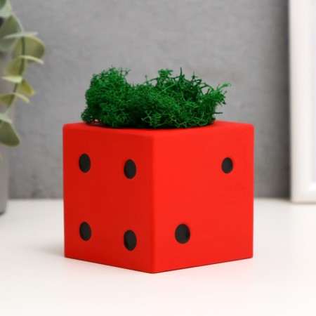 Concrete Kashpo "Player bone" with Moss red with black 7x7x7 cm (moss green stabilizir)-2
