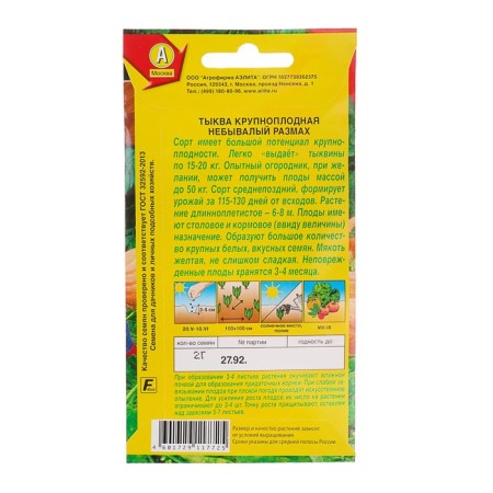 Large -fruited pumpkin seeds "unprecedented scope", 2 g-1