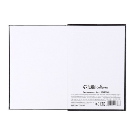 Dated diary of 2025, A5, 168 sheets, boumville, black-8