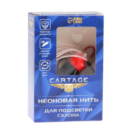 Cartage neon thread for lighting salon, feeder 12 V, 2 m, white power adapter-4