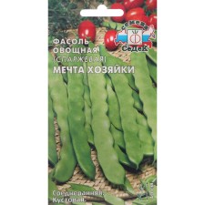 Seeds of beans 