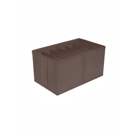 Organizer, 40x25x20 cm, 6 cells