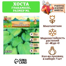 Хоста "Guacamole", р-р I, размер ML,1 шт,