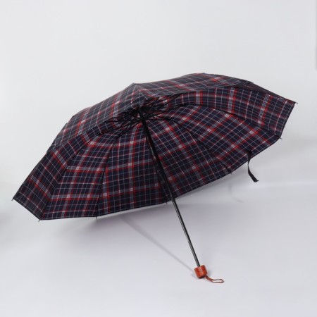 Mechanical “Cage” umbrella, 4 additions, 10 spokes, r = 55 cm, color mix-2