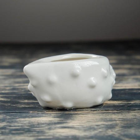 Set of Kashpo "Shell" 6pcs, 8x6x8cm, White-7
