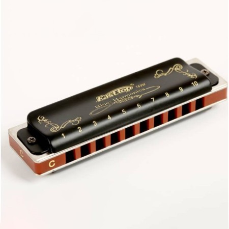 Diathonic harmonica Easttop t008k g