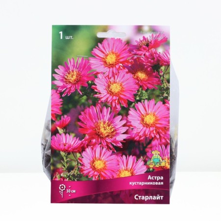 Astra Kustarnikova Starlight, rr I, 1 pc, spring 2025