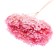 Sukhotzet "Large -leaf hydrangea", dark pink, 1 branch 50 - 70 cm in packaging