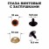 Rifle eyes with plugs, “sparkles” set 24 pcs, size 1 pc: 1.8 cm, brown color