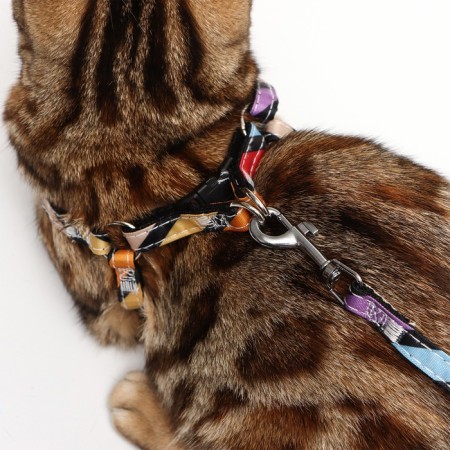 The ammunition set is two-layer, size S, leash 120 x 1 cm, Osh 24-38 cm, OG 29-41 cm, multi-colored-10