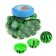 Sharpen with a container "watermelon", green