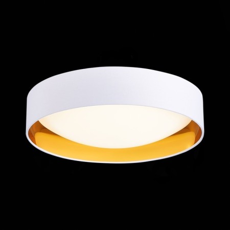 Ceiling EVOLUCE lamp. Sle201122-01. Orbio. 1x24 W, LED, 4000K, 700 LM, 42x42x10.5 cm, white color, gold-1