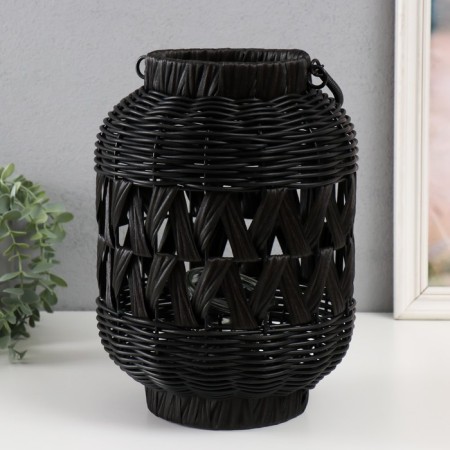 Climber Plastic "Flashlight. Basket" black 30x21x21 cm-1