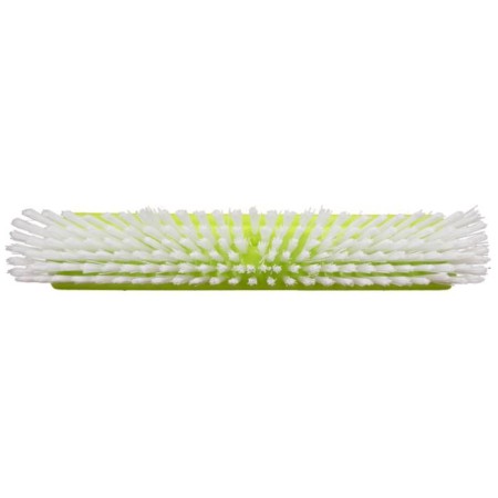 The brush is pulmonary-3
