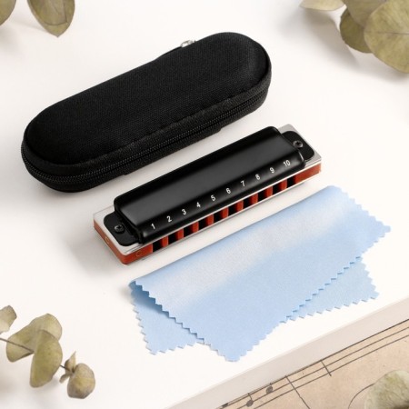 Music Life T008L Clinkle C Diatonic, 10 holes, with a case