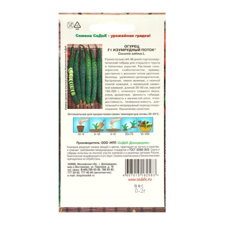 Cucumber seeds "Emerald Stream", set 5 pcs-1