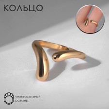 The ring 