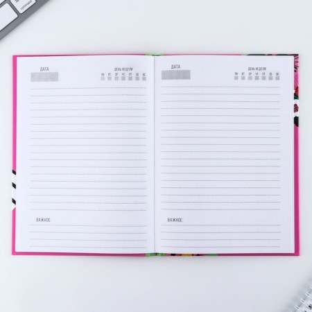 Gift set "Best Educator": A5 Diary, 80 sheets, thermostatic 350 ml-5