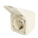 1-seater socket with grounding contact, with a lid, 250V, 16A, IP44, PST16-21-44 (Ra 16-21 1022741
