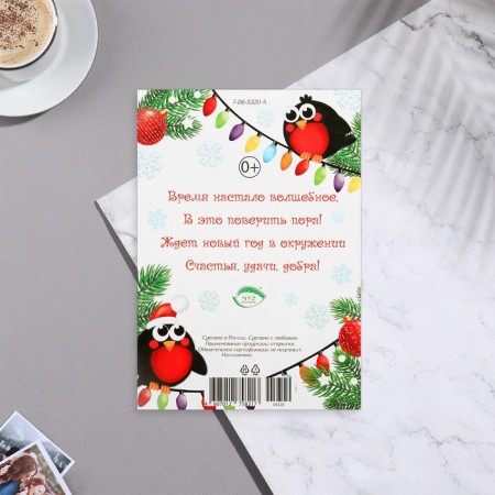 Mail card "Funny holiday!" glitter, bullfinches, 11x15.5 cm-1