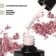 Nail varnish gel, Milk Potal, 3 phase, 8ml, LED/UV, white/pale pink color (06)