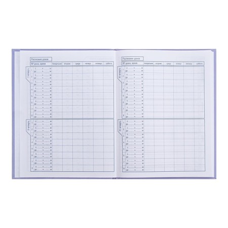 Universal diary for grades 1-11 My Plush Friend, solid cover, glossy lamination, sparkles, 40 sheets-6