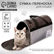 Bag - carrying 